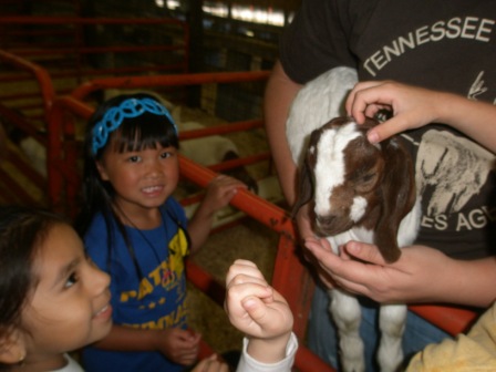 Kasen with a baby goat at Farm City Day